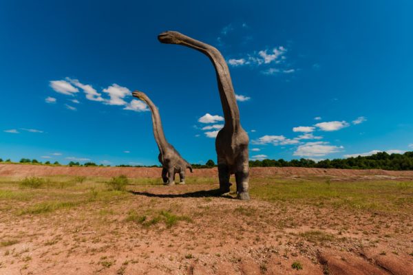 Time to Replace Bronto: Why It’s Going Away and What You Can Do Now